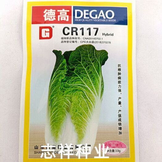 华容县德高CR117大白菜种子早熟炮弹型包心白菜抗根肿病德高蔬菜种