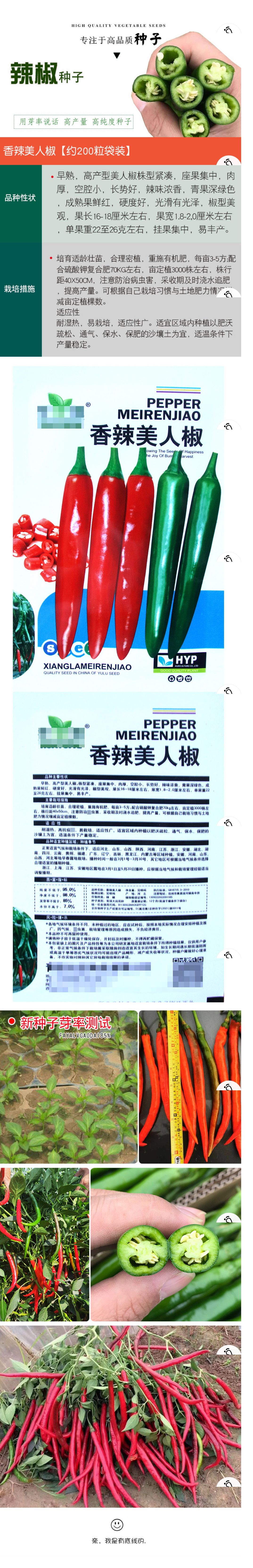 美人辣椒种子薄皮口味香辣早熟大红辣椒农田菜园基地种植蔬菜种子