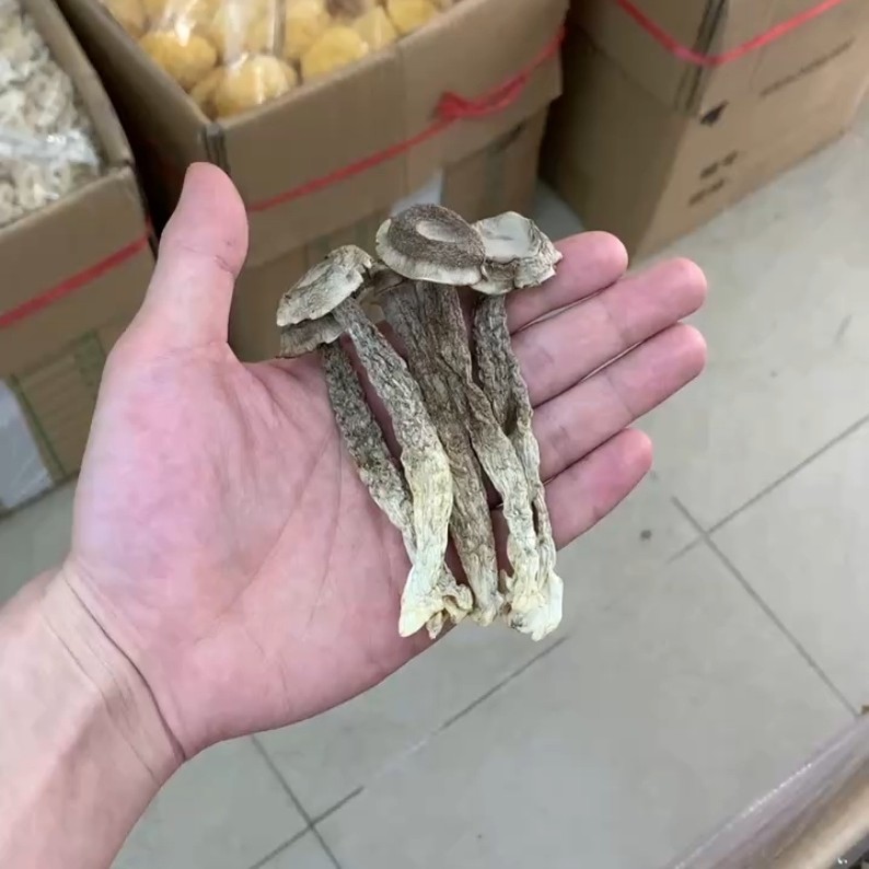 ݲֱ¹׹Ũи๽ɻز