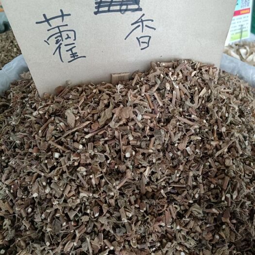 玉林正品藿香中药材广藿香叶藿香土霍香藿香新鲜