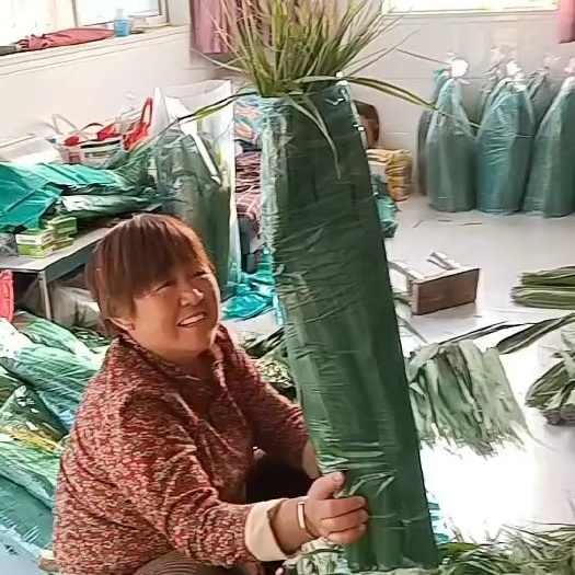 固镇县安徽芦苇叶
