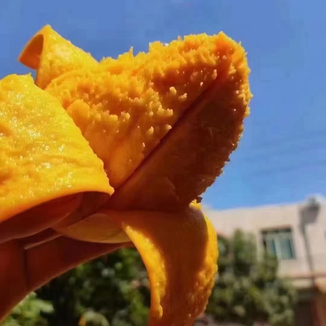梁亞華的店