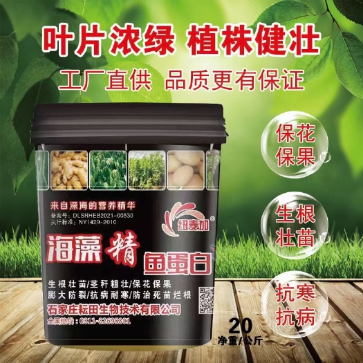 行唐县提苗壮苗膨果