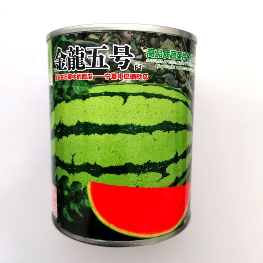 夏邑县金龍五号西瓜种子果肉大红瓢脆甜多汁含糖量高品质优良