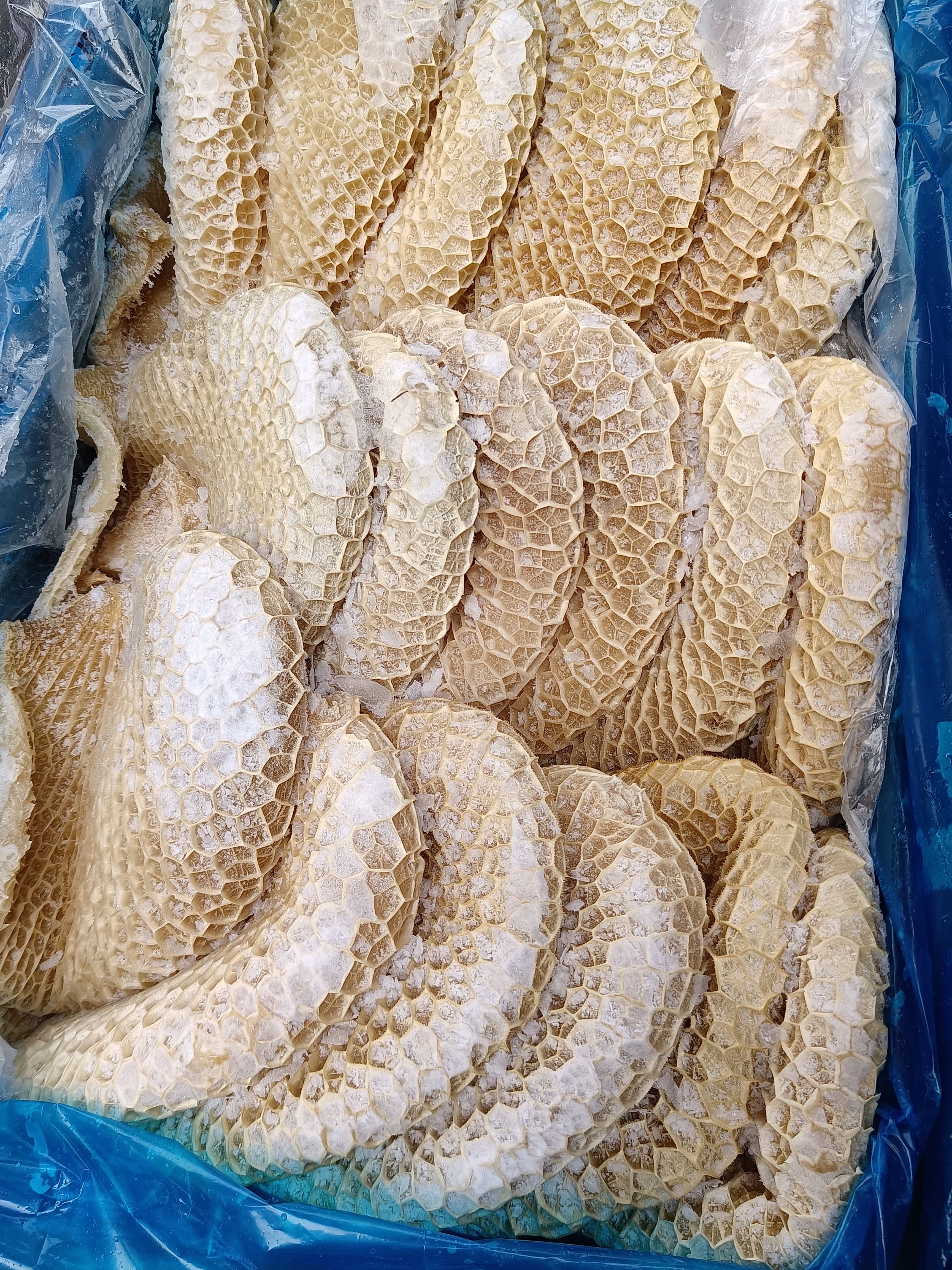 金钱肚牛肚，8-9成熟，方便使用，精修无油，工厂直销