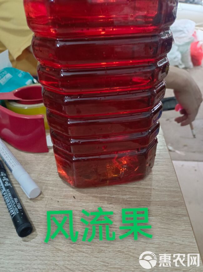 风流果酒，18一斤，可带果。40度，纯米酒酒泡的