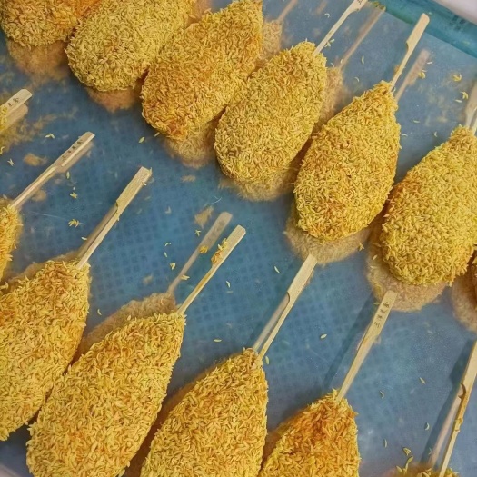 平邑县各种鸡排有货，可定做，有兴趣的老板欢迎实地考察