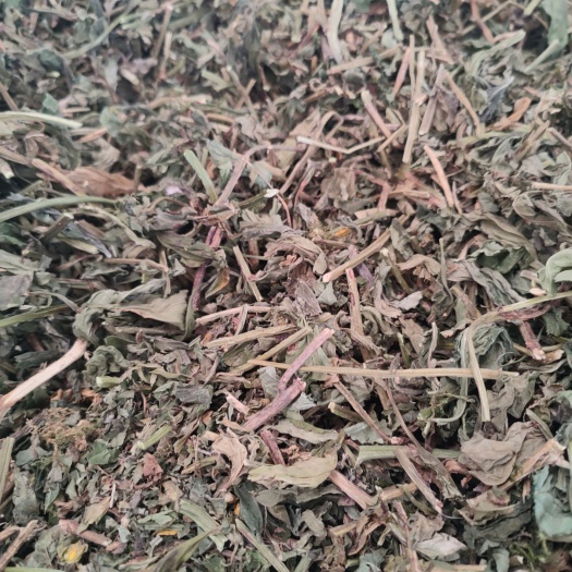 干货灵香草 枝叶干净
