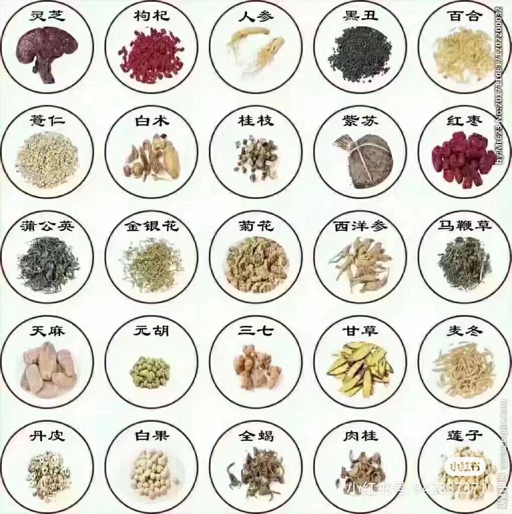 杏林康養(yǎng)堂