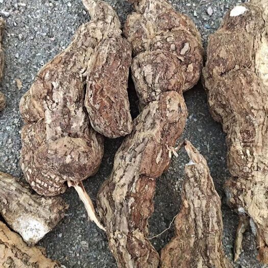 楚雄市茯苓伏神茯苓粉茯苓块中药材正品无硫薏米熬汤煮粥