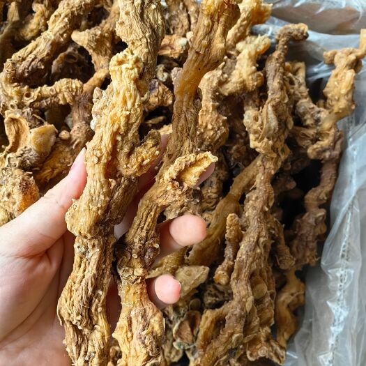 亳州九华山黄精 大条黄精优质产地货 可供批发零售 量大从优