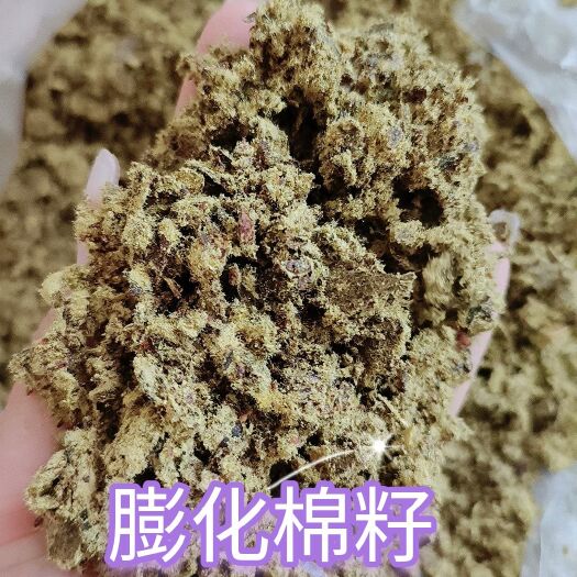 石家庄膨化棉籽