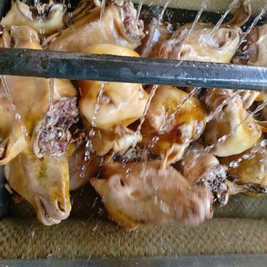 河间市火燎小羊头