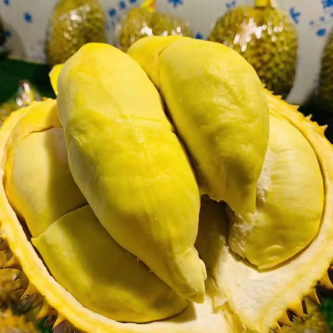 靈山縣林緣果苗種植場
