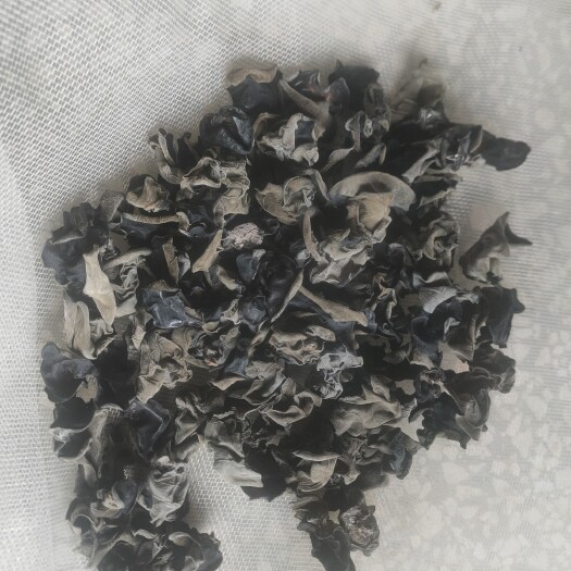 隆回县黑木耳