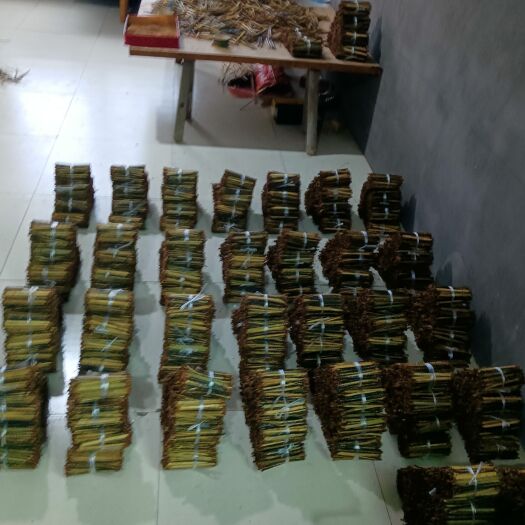 宜昌金头金头蜈蚣