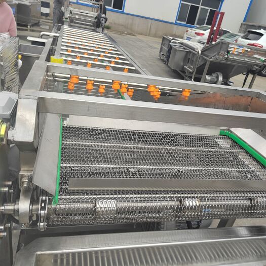 诸城市海产品清洗机 鲍鱼海参清洗机 肉类解冻清洗流水线 全自动清洗