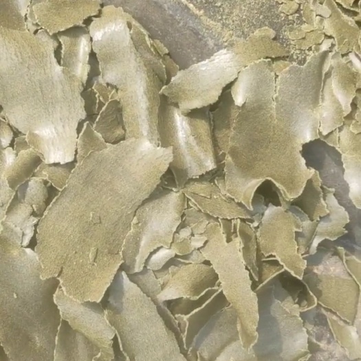 油枯，纯菜籽压榨油枯