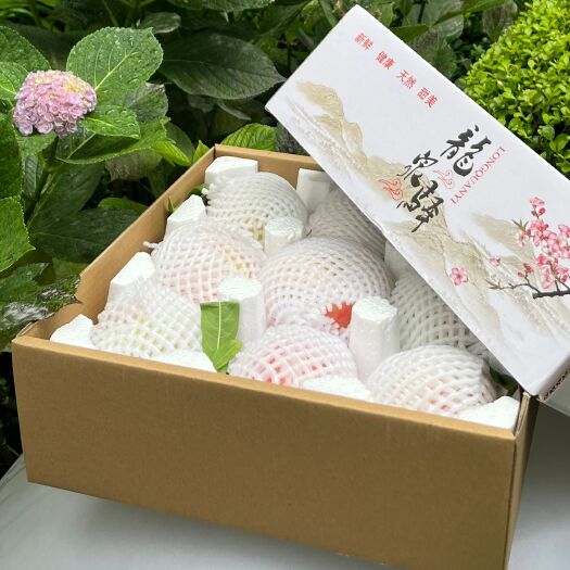 龙泉驿水蜜桃/脆桃 送礼佳品 个大味好 白里透红（一件代发）