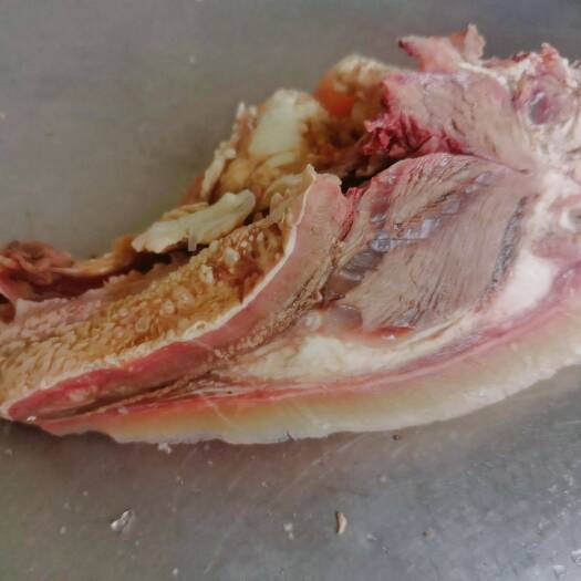 阳信县[年货备起来]牛头肉 水彩毛 火烧毛都有