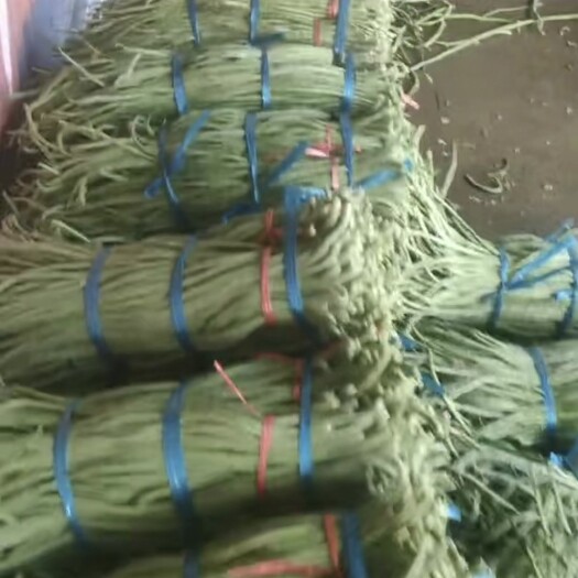成武县精品，豇豆，别名，豆角，细长，价格低。