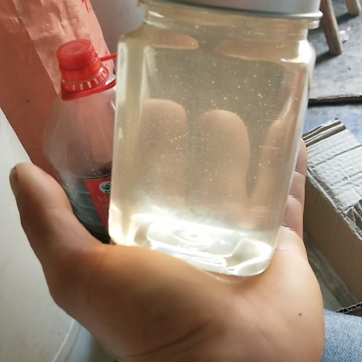 陇南洋槐蜜