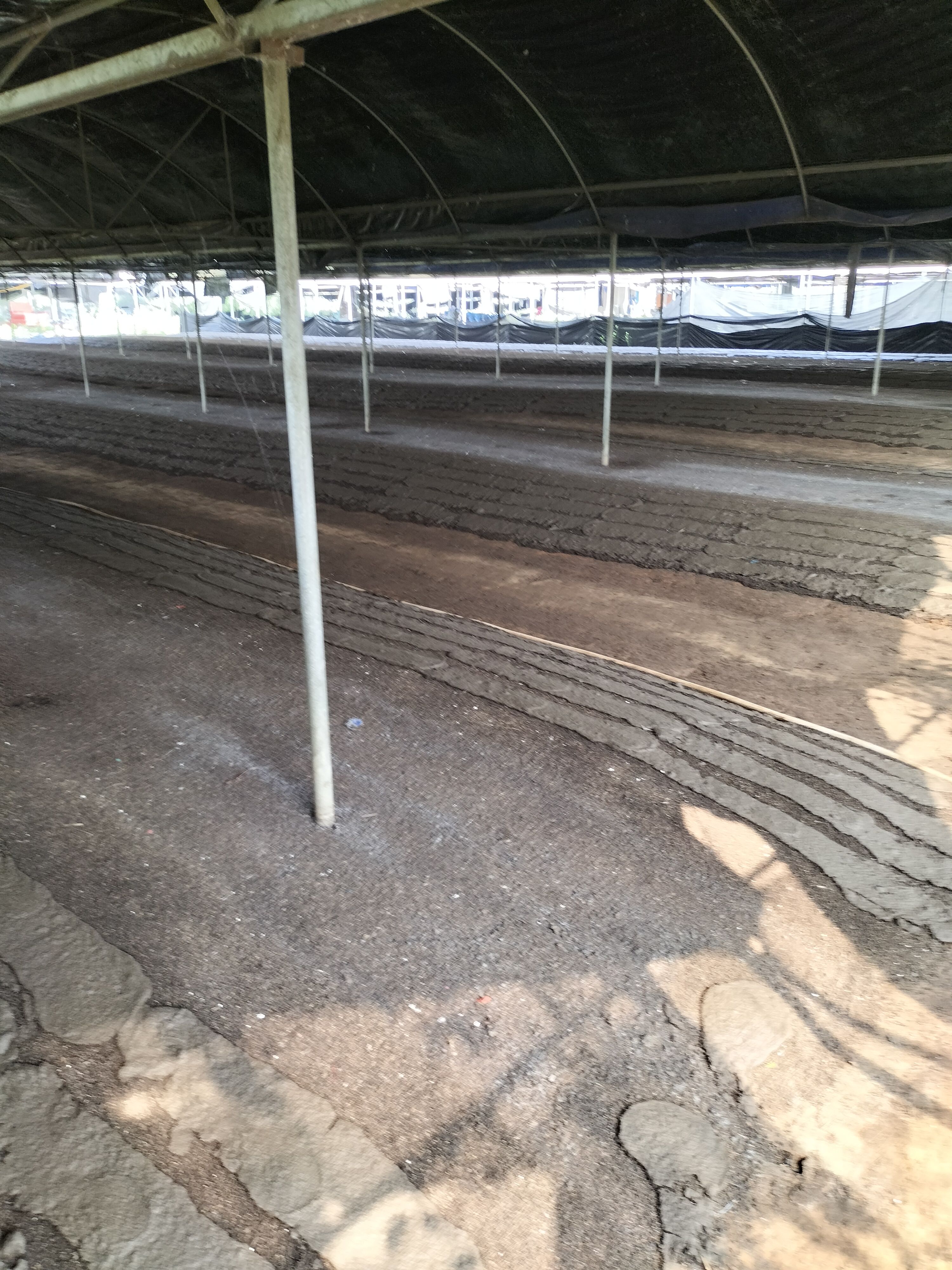 蚯蚓粪大量现货供应  蚯蚓养殖场地直供 给钱就拉走