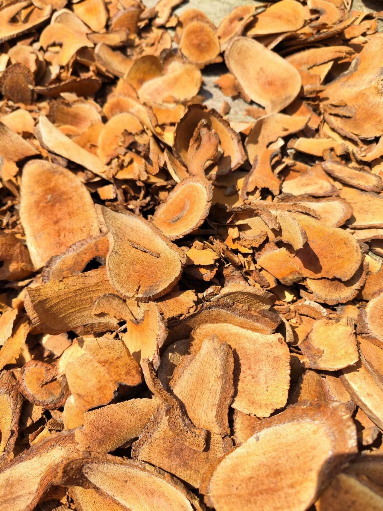 藤梨根，猕猴桃根，雄杨桃根，一手货源量大从优