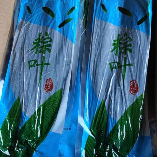 保鲜粽叶
