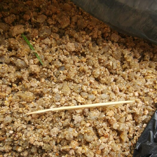 揭阳种植泥土