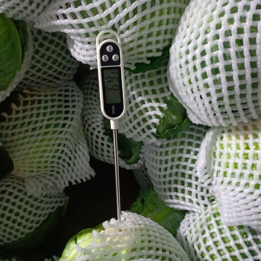 泾阳县专业蔬菜批发，各种蔬菜批发