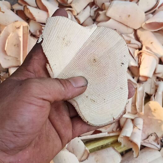 钦州批发白背根径片干片