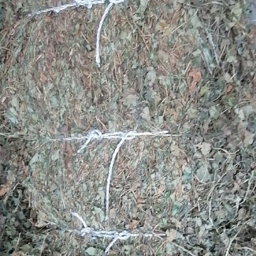当阳市药用鱼腥草叶子