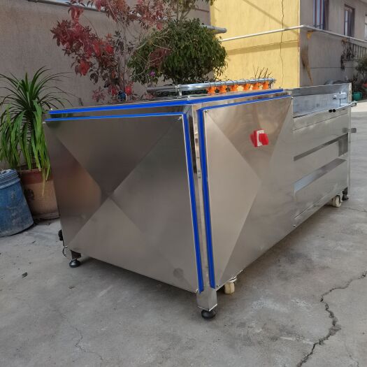 诸城市批发土豆去皮机商用脱皮机 去皮马蹄机械 洋葱洗菜机毛刷清洗机