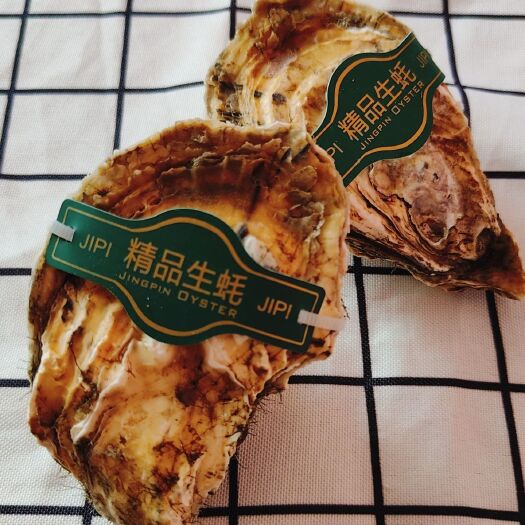 东港市生蚝