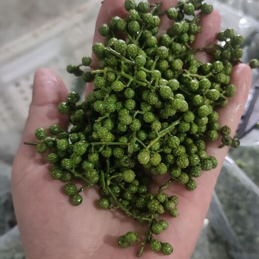 重庆市九叶青花椒籽，花椒，花椒叶子