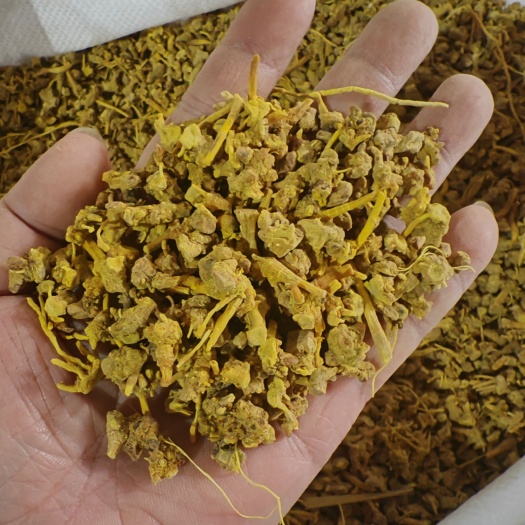 成都雪山黄龙草根茶 草根头，地摊货源2023江湖展会产品