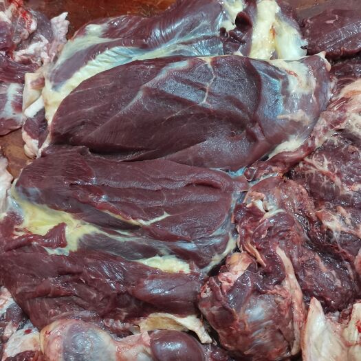 贵州黄牛肉牛肉批发处理