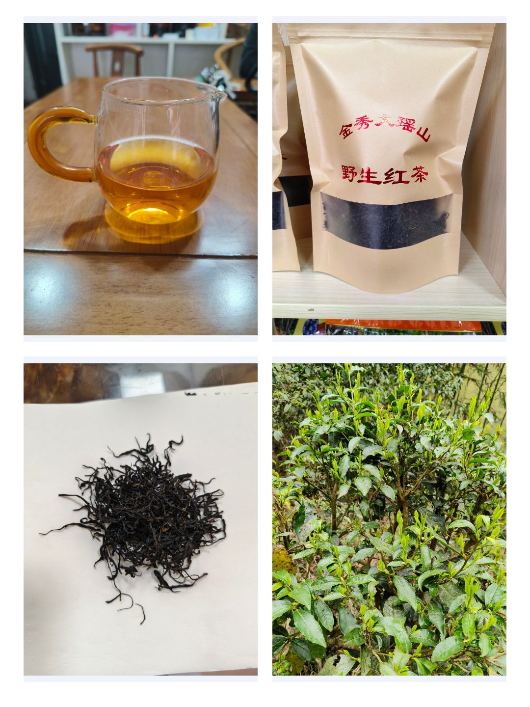 广西金秀红茶