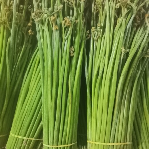 安顺腌制甜绿蕨菜