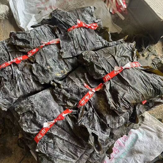 义乌市海带皮 海带丝 干海带 地摊新品质量保证
