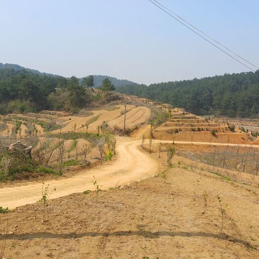 商城县土地转让 手续齐全