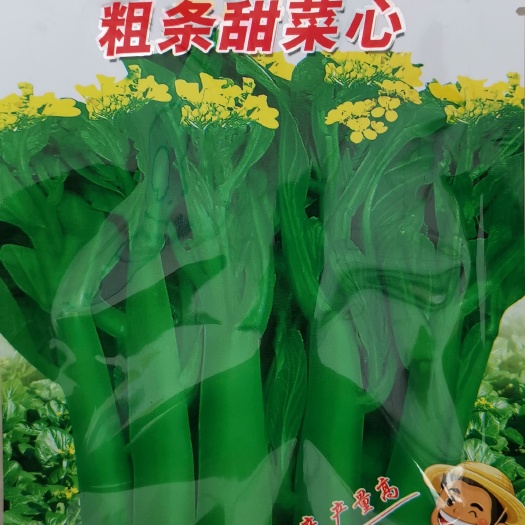 菜心，侧苔少，早抽苔，耐热，耐湿抗病，