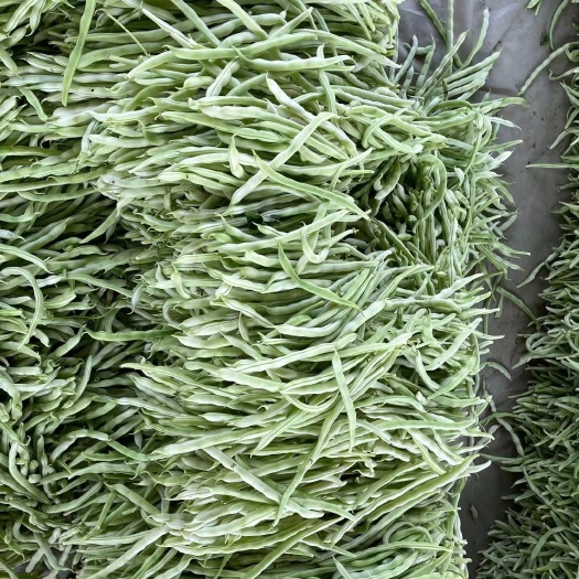 顺平县白芸豆，豆角