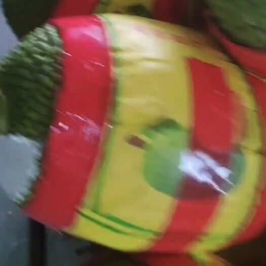 连云港越南前江菠萝蜜