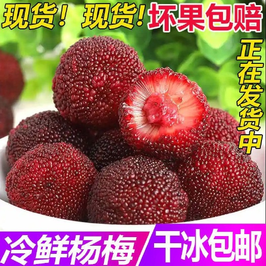 冷冻冰杨梅500克精品大果批发商用冰镇杨梅