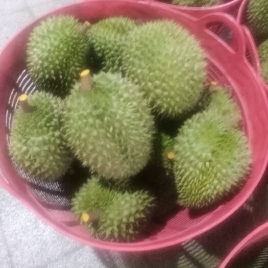  榴莲工厂直销