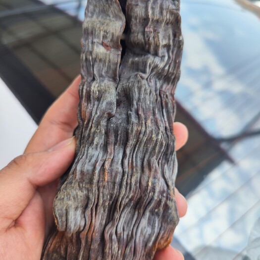 南安市烟熏笋干（泡水后）
