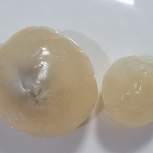海口妃子笑