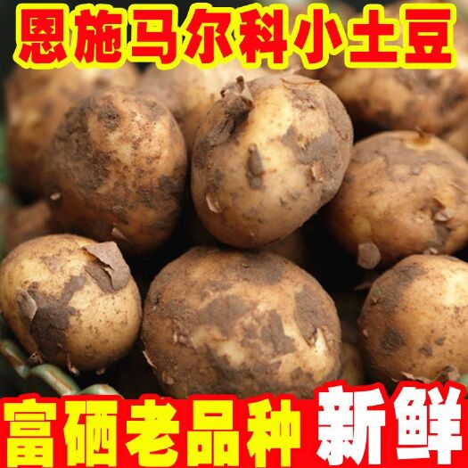 巴东县恩施小土豆    5斤3种规格一样价